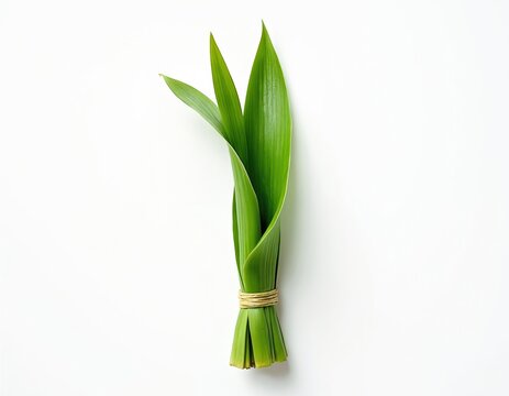 Bunch of fresh green pandan leaves tied with string. These leaves are a common ingredient in Asian cooking and baking. They offer a unique aromatic flavor and scent.