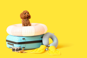 Cute Toy Poodle dog with inflatable ring, suitcase, flippers, photo camera and neck pillow on yellow background © Pixel-Shot
