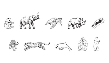 Fototapeta premium Endangered animals collection in minimalist line art style