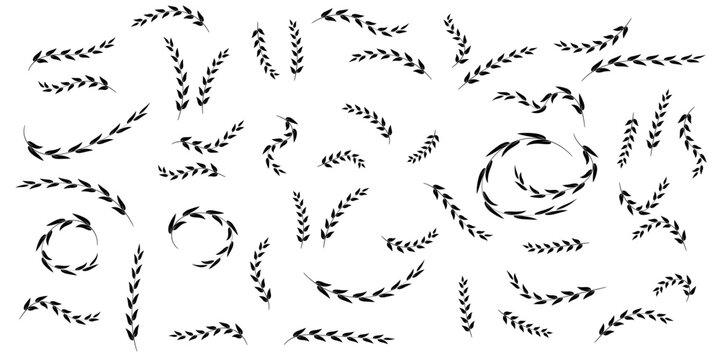 Laurel wreath Set, Black free hand laurel olive branches greek wreath ,stars of victory symbol, A winner award of olive leaves,  achievement heraldry symbol, vector illustration isolate on white