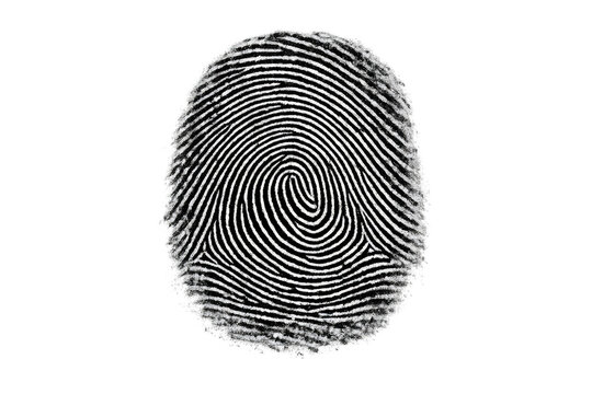 Fingerprint providing biometric security and identification, a unique human identity element with transparent background