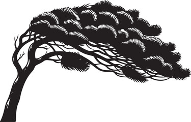 A black and white image of a pine tree Vector, illustration