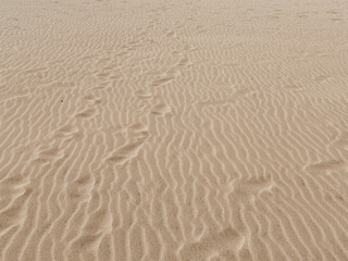 Obraz premium Desert Sand Texture Background Pattern