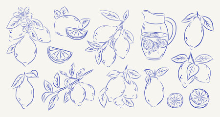 Hand draw whimsical sketch style lemons illustration.