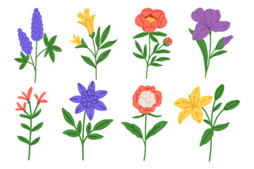 Spring flower hand draw collection in doodle style. 