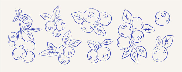 whimsical line art blueberry set with hand drawn botanical branch leaf and berry.