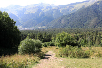 Narrow dirt path leading through green forest with town nestled among mountains