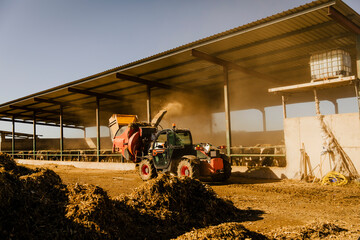 telehandler transporting and distributing silage between farm buildings at a dairy cattle farm. Livestock barns and feeding area visible during sunny day with agricultural machinery in action. © aitor
