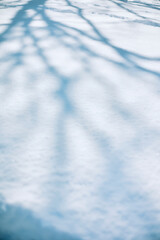 【福島県福島市】雪景色に映る木の影