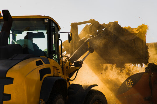 Side view of a yellow wheel loader transferring silage into a feed mixer in a rural farm setting. Dust rises in the air under bright sunlight during daily livestock feeding operations.