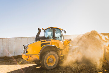 Fototapeta premium Side view of a yellow wheel loader transferring silage into a feed mixer in a rural farm setting. Dust rises in the air under bright sunlight during daily livestock feeding operations.