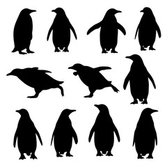 set of penguins © Deny