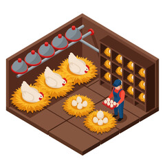 Farmer Collecting Eggs from Chicken Coop Nests. © Anak