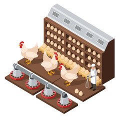 Farmer Collecting Eggs from Chicken Coop. © Anak