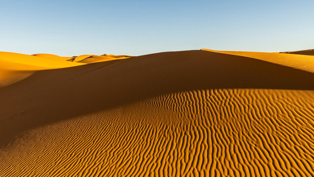 Golden sand dunes under a clear blue sky, with textured patterns created by the wind. Mezouga,Sahara desert,Morocco