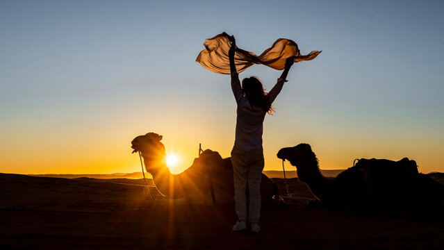 Silhouette of a woman holding a scarf aloft at sunset, with camels nearby. Mezouga,Sahara desert,Morocco