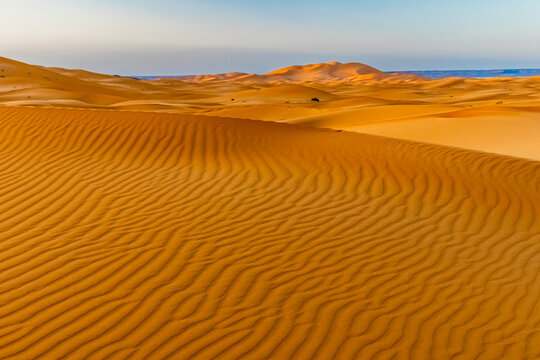 Rolling golden sand dunes under a clear sky, with textured patterns in the foreground. Mezouga,Sahara desert,Morocco
