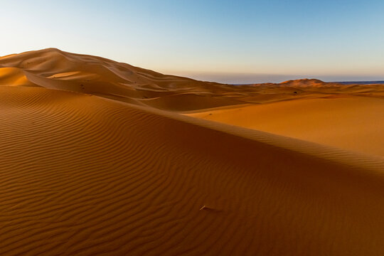 Sand dunes with wind ripple patterns under a blue sky at sunset. Mezouga,Sahara desert,Morocco