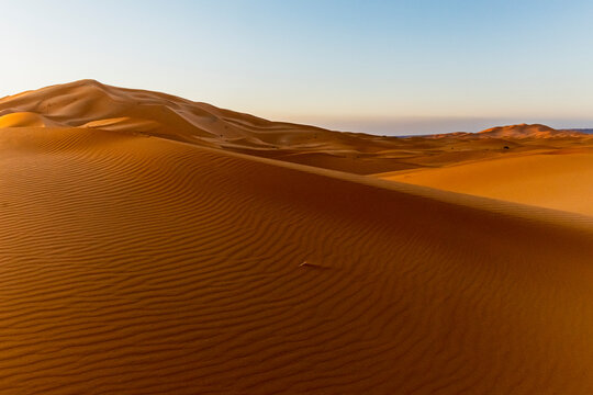 Sand dunes with wind ripple patterns under a clear sky at sunset. Mezouga,Sahara desert,Morocco
