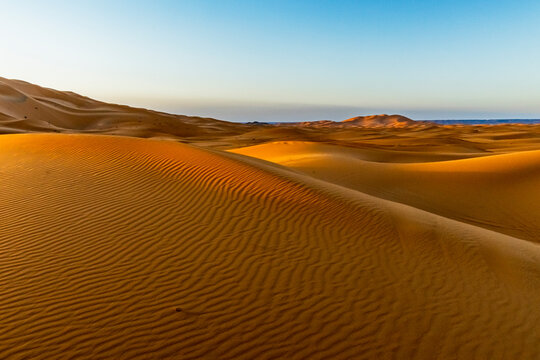 Sand dunes under a clear blue sky, illuminated by the warm glow of the setting sun. Mezouga,Sahara desert,Morocco