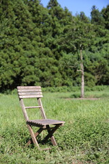 A vintage wooden chair standing in a green field.