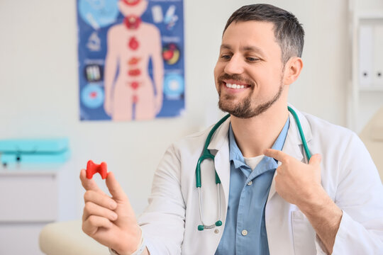 Male endocrinologist with thyroid gland model in clinic, closeup