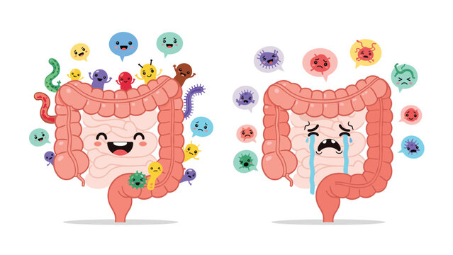 Happy human intestine with beneficial bacteria versus a crying intestine plagued by harmful germs showing gut health balance.