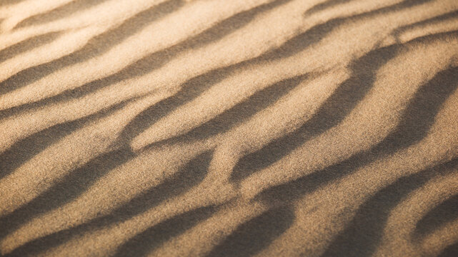 View of wind-sculpted sand dunes create hypnotic patterns of light and shadow across the desert landscape, a study in texture and form, Senek, Mangystau Region, Kazakhstan.