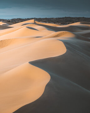 View of undulating golden sand dunes under a brooding sky create a stark yet serene landscape, Senek, Mangystau Region, Kazakhstan.