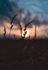 sunset in the mountains © Rafa