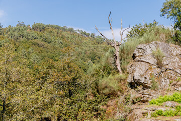 view of the Geres valley near Sistelo, Viana do Castelo, Portugal