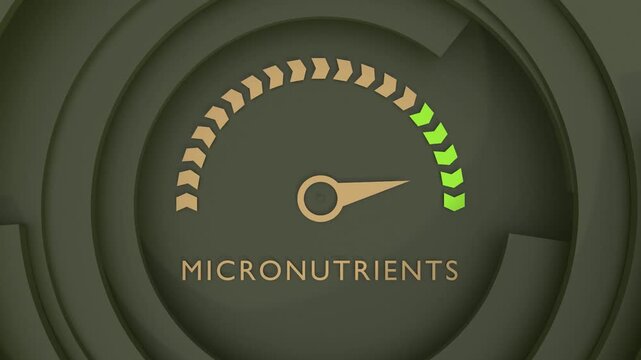 Micronutrients meter showing high levels. Healthy diet and metabolism concept. Dynamic increasing gauge.