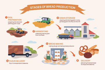 Bread manufacture infographic. Agriculture branch, flour making process with information, stages of baking production and distribution transport, garish vector cartoon isolated concept