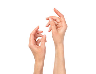 Elegant female hands posed side by side, isolated on white background. Clean natural manicure, soft skin. Skincare, spa care and wellness concept.