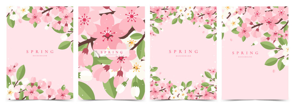 Spring banner, greeting card, cover, poster set with Sakura cherry blossom branches. Floral art template for Japanese themed, Hanami, wedding, Mothers Day, birthday, Easter