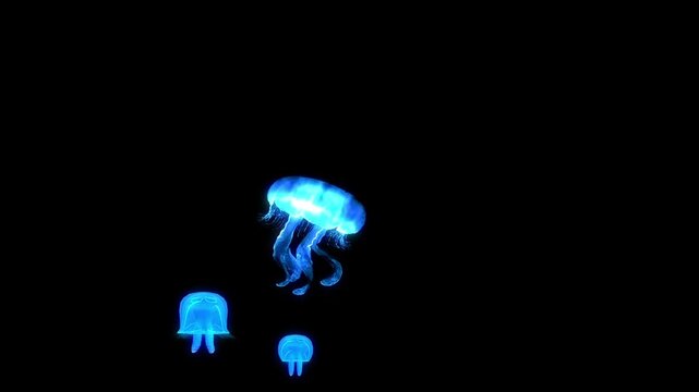 Jellyfish swimming in deep sea ocean, octopus swimming, glowing squid , snail sea crabs, Glowing jellyfish isolated floating on black screen