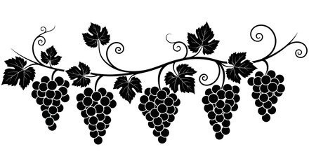 A decorative black and white illustration of grape vines with clusters of grapes and leaves high quality professional © arfanah02