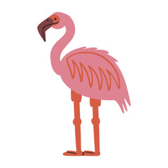 Fototapeta premium Pink exotic flamingo bird standing. Vector kids illustration in simple hand drawn cartoon style.