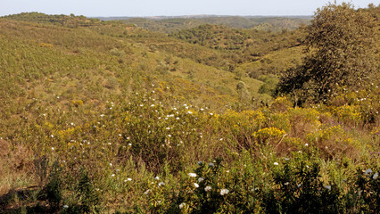 Blick aufs Dorf Vaqueiros Serra do Caldeirao Algarve © Kristen