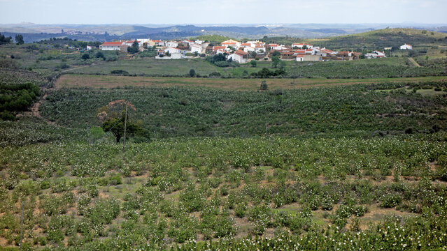 Landschaft ums Dorf Afonso Vicente, Algarve