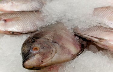 Close-up of fresh, raw tilapia fish arranged on a bed of glistening ice, captured with natural light showcasing detailed textures and scales, suitable for culinary and seafood market concept