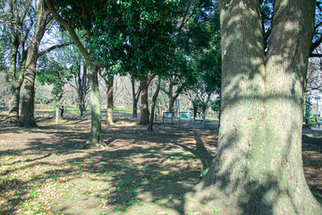 自然いっぱいの公園