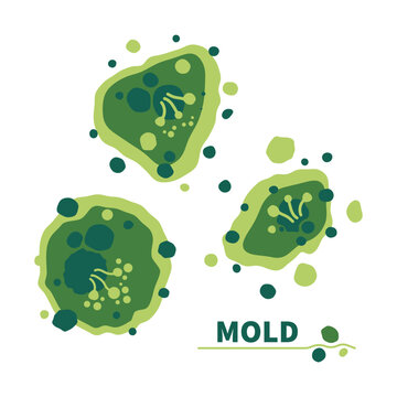 Green fungus spores growth vector illustration set.