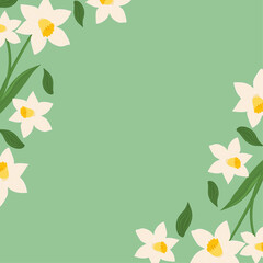Spring floral frame with white daffodils on green background for invitations and greeting cards
