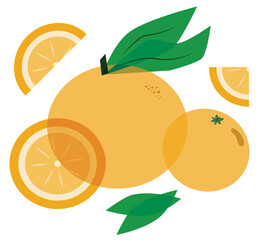 Minimal flat illustration of whole and sliced oranges with green leaves. Fresh citrus artwork suitable for packaging, labels, posters and healthy lifestyle designs.