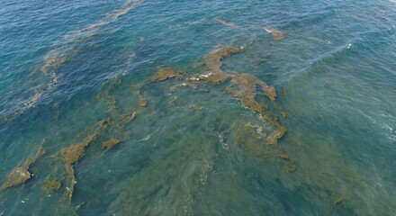 Aerial view of turquoise ocean water surface covered with brown algae bloom pollution