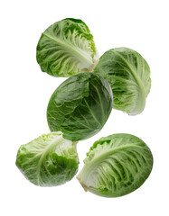 Obraz premium Fresh Green Romaine Lettuce Leaves Gathered Together on a Transparent Background