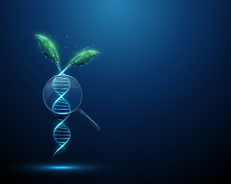 Green plant leaves growing from a blue 3D DNA helix under a magnifying glass. Plant genetics, crop improvement, molecular biology concept.