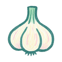 PNG Hand-drawn garlic bulb illustration.