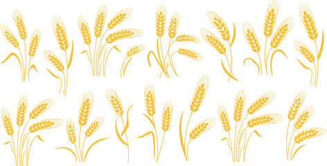 Golden wheat stalk vector set with grain ears agricultural harvest illustration farming cereal crop design collection, © MstRejowana